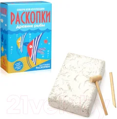 Набор для опытов Раскопки Раскопки. Рыбы / DIG-12 — фото 5