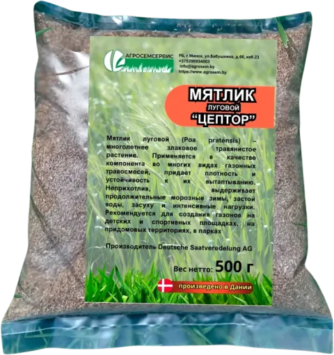 Семена газонной травы DLF Цептор Мятлик луговой (500г)