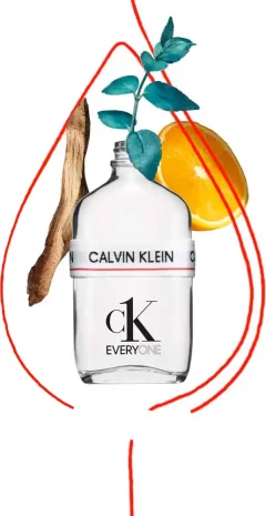 Туалетная вода Calvin Klein EveryOne (50мл) — фото 4