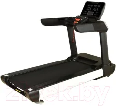 Электрическая беговая дорожка Proxima Exclusive Pro Hrc / PROT-213 — фото 3
