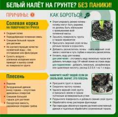 Грунт для растений Фаско Цветочное счастье Для лимона и цитрусовых (5л) — фото 5