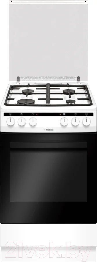 Плита газоэлектрическая Hansa FCMW590977