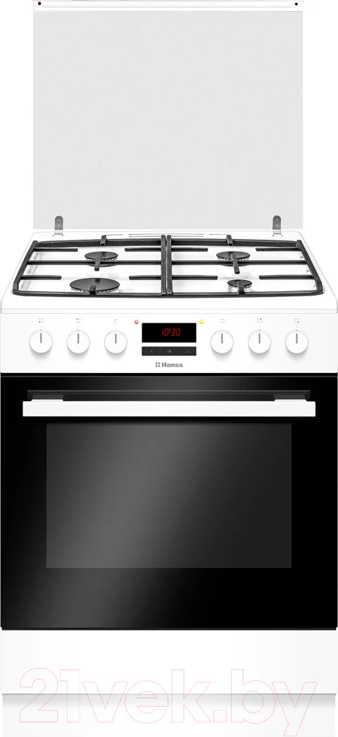 Плита газоэлектрическая Hansa FCMW68229