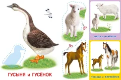 Развивающая книга Фламинго Аппликация и карточки. Домашние любимцы, мягкая обложка — фото 2