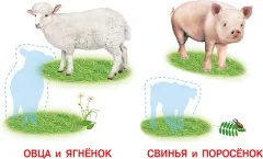 Развивающая книга Фламинго Аппликация и карточки. Домашние любимцы, мягкая обложка — фото 3