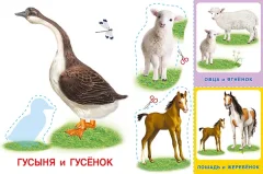Развивающая книга Фламинго Аппликация и карточки. Домашние любимцы, мягкая обложка — фото 10