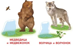 Развивающая книга Фламинго Аппликация и карточки. Лесные звери, мягкая обложка — фото 2