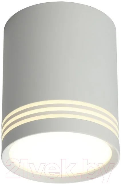 Потолочный светильник Omnilux Fortezza OML-100109-12