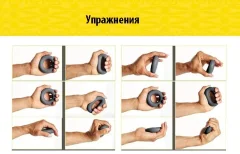 Эспандер Fortius С двумя нагрузками (10-20кг, голубой) — фото 4