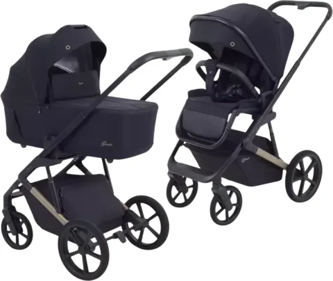 Детская универсальная коляска Rant Garda 2 в 1 / RA114 (Black)
