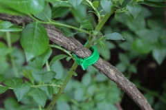 Набор зажимов садовых Gardenplast Клипса для крепления растений (50шт) — фото 8