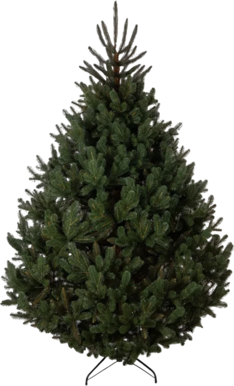 Сосна искусственная GreenTerra Босния (2.5м)