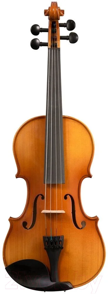 Скрипка Cascha HH-2133 (с футляром и аксессуарами)