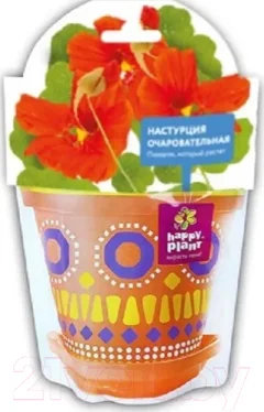 Набор для выращивания растений Happy Plant Настурция очаровательная / hpd-11 — фото 1