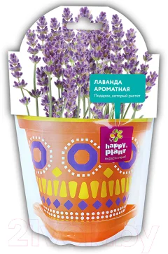 Набор для выращивания растений Happy Plant Лаванда ароматная / hpd-2 — фото 5