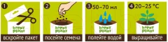Набор для выращивания растений Happy Plant Лаванда ароматная / hpd-2 — фото 8