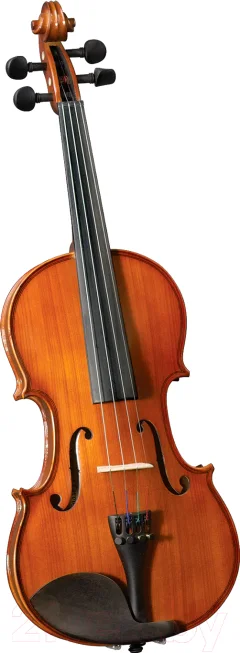 Скрипка Cervini HV-200 1/2 — фото 1