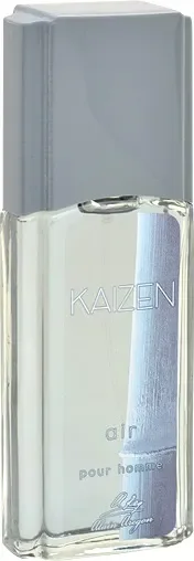 Туалетная вода Positive Parfum Kaizen Air (95мл) — фото 5