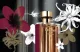 Парфюмерная вода Prada La Femme Intense (50мл) — фото 8