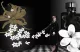 Парфюмерная вода Prada La Femme Intense (50мл) — фото 10