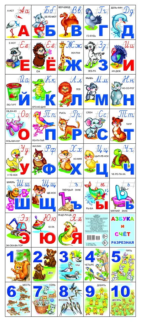 Развивающий плакат Леда Азбука и счет, твердая обложка