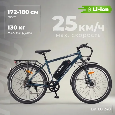 Электровелосипед MyWay Let 1.0 240 Max 26 (19, мурена матовый)