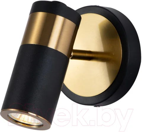 Спот FAVOURITE Light Point 2997-1W