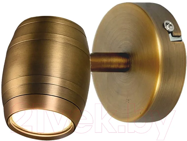 Спот Lussole Loft GRLSP-9566