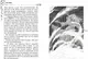 Художественная книга Махаон София и мышиный лорд, твердая обложка (Витчер Муни) — фото 8