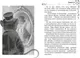 Художественная книга Махаон София и мышиный лорд, твердая обложка (Витчер Муни) — фото 10