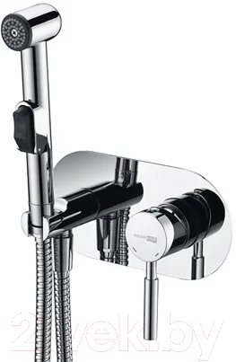 Гигиенический душ со смесителем Wasserkraft Main 4138