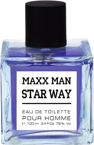 Туалетная вода Delta Parfum Maxx Man Starway (100мл)