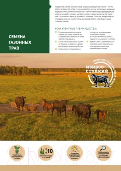 Семена газонной травы Мираторг Супер Экспресс (5кг) — фото 3