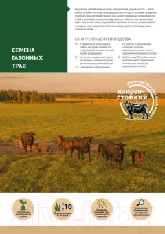 Семена газонной травы Мираторг Карликовый (800г) — фото 7