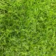Искусственная трава GRASS MIX 18 (1x2м) — фото 8