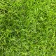 Искусственная трава GRASS MIX 20 (1x2м) — фото 5