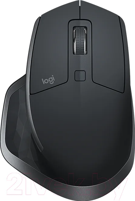 Мышь Logitech MX Master 2S / 910-005139