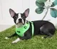 Шлея-жилетка для животных Puppia Neon Soft / PAQA-AC1430-GR-L (салатовый) — фото 7