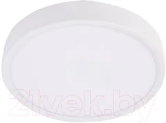 Потолочный светильник Ultra NP 30W 3000K (РР) — фото 1