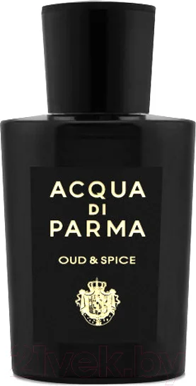 Парфюмерная вода Acqua Di Parma Oud & Spice (100мл)