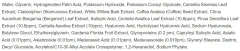 Пенка для умывания Round Lab Pine Calming Cica Cleanser (150мл) — фото 4