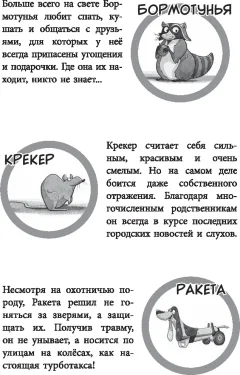 Художественная книга Попурри Банда бродяг: лапа лапу моет (Штронк Калли 9789851561182) — фото 4
