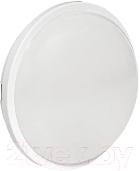 Светильник ЖКХ EKF PROxima BKL-2010-R-15-6500