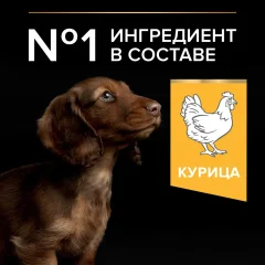 Сухой корм для собак Pro Plan Puppy Small & Mini с курицей и рисом (700г) — фото 6
