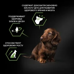 Сухой корм для собак Pro Plan Puppy Small & Mini с курицей и рисом (700г) — фото 8