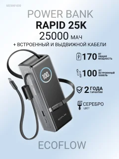 Портативное зарядное устройство EcoFlow Rapid 25k (25000 мАч, серебристый, со встроенным и выдвижным кабелями 100 Вт) — фото 2