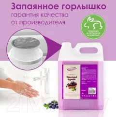 Мыло жидкое Результат.Про Черничный чизкейк (5кг) — фото 4