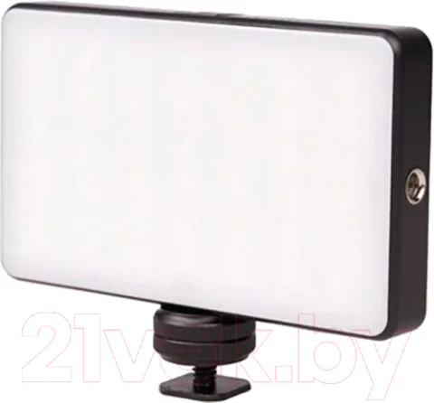 Осветитель студийный RayLab RL-LED08BI-2