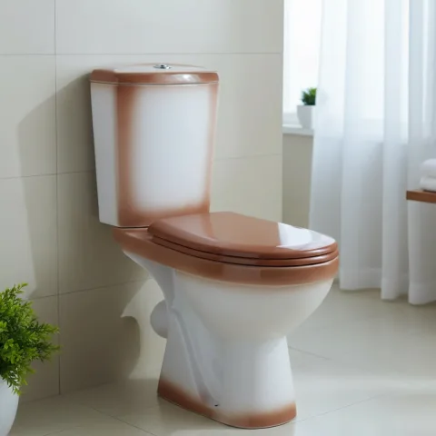 Унитаз напольный Rosa Комфорт (коричневый)