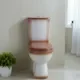 Унитаз напольный Rosa Комфорт (коричневый) — фото 8